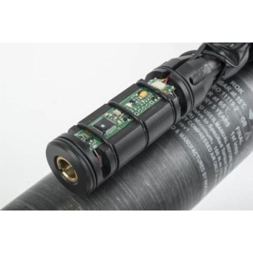 Daystate Delta Wolf, High Power, 5.5mm Tactical - Image 4