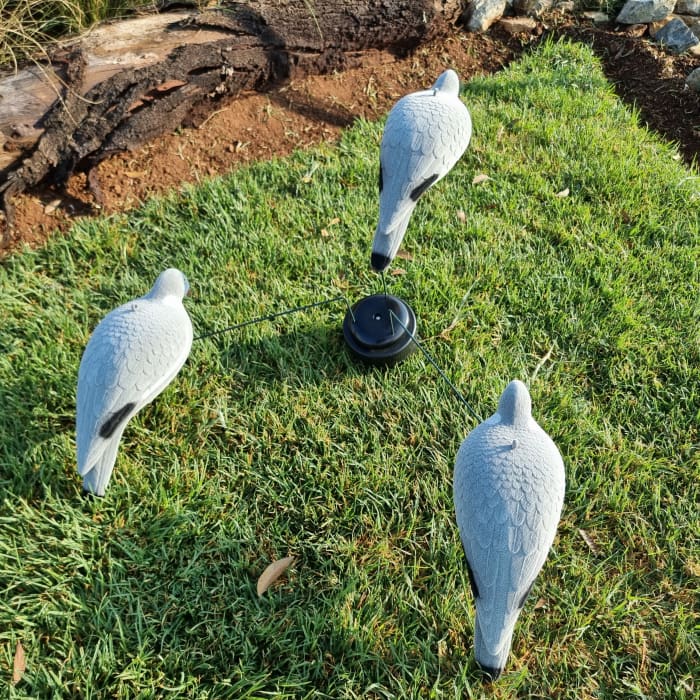 Pigeon Decoy - Three Rotating Pigeons (Requires Batteries) - Image 3