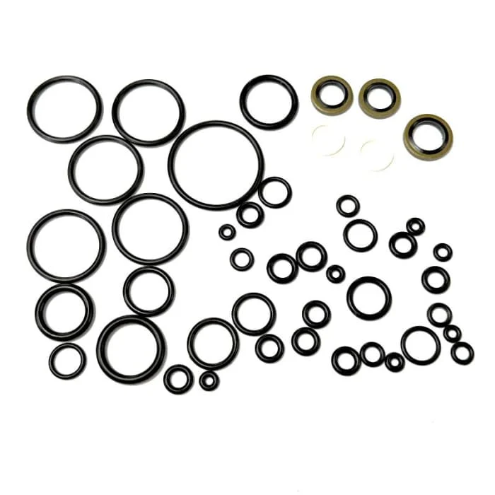 Seal Kit for Nova Vista Avenge-X